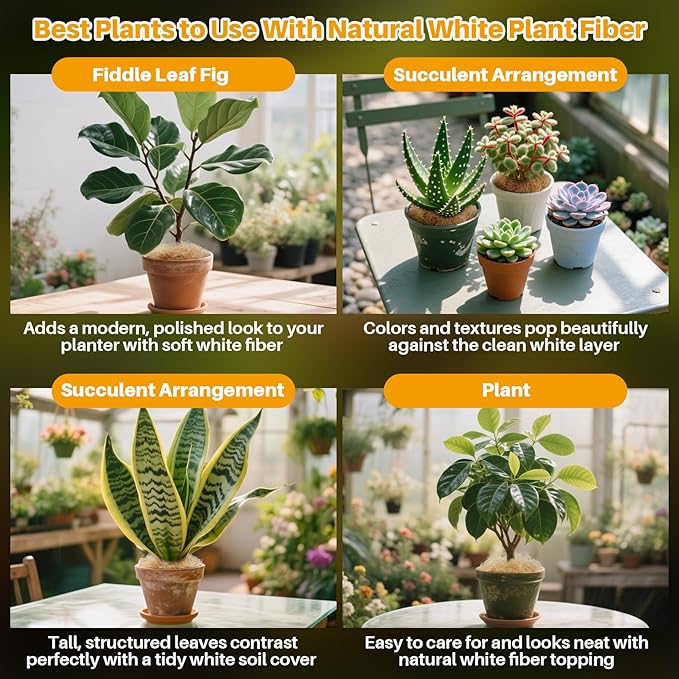 MAQIHAN Natural Plant Fiber - Organic Fiber Material for Bonsai and Crafts,Bird Nesting Material,White Garden Fibers for Potted Plants,Greenery Covering,Home Decoration,Gardening,Outdoor Use