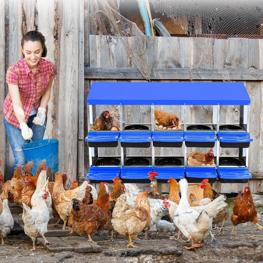 Chicken Nesting Boxes, 10 Hole Metal Chicken Laying Box with with Removable Trays and Roll Out Egg Collection for Chicken Coop, Blue