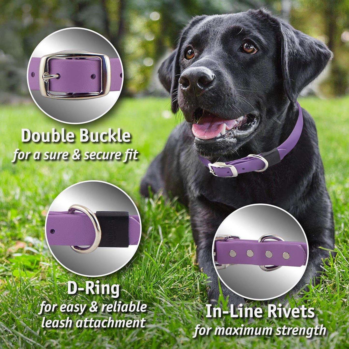 Biothane Custom Dog Collar – Waterproof, Stink-Proof Personalized Collar with Name & Phone Number – Durable, Many Sizes and Colors – Assembled in USA (Amethyst Purple)