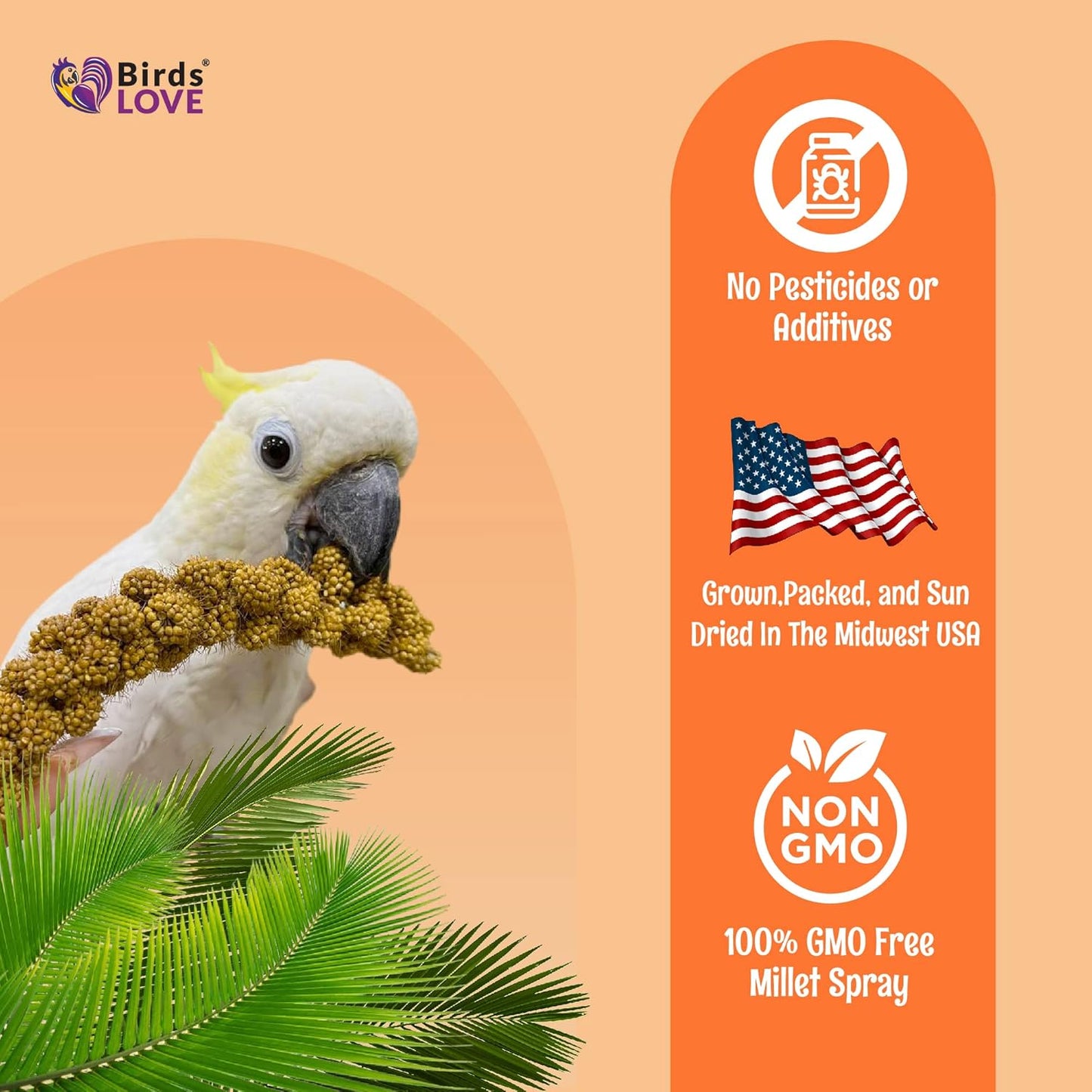 Birds LOVE Spray Millet – 1 lb GMO-Free, No Stems (Edible Tops Only) – Healthy Treat for Cockatiels, Lovebirds, Parakeets, Finches & Canaries