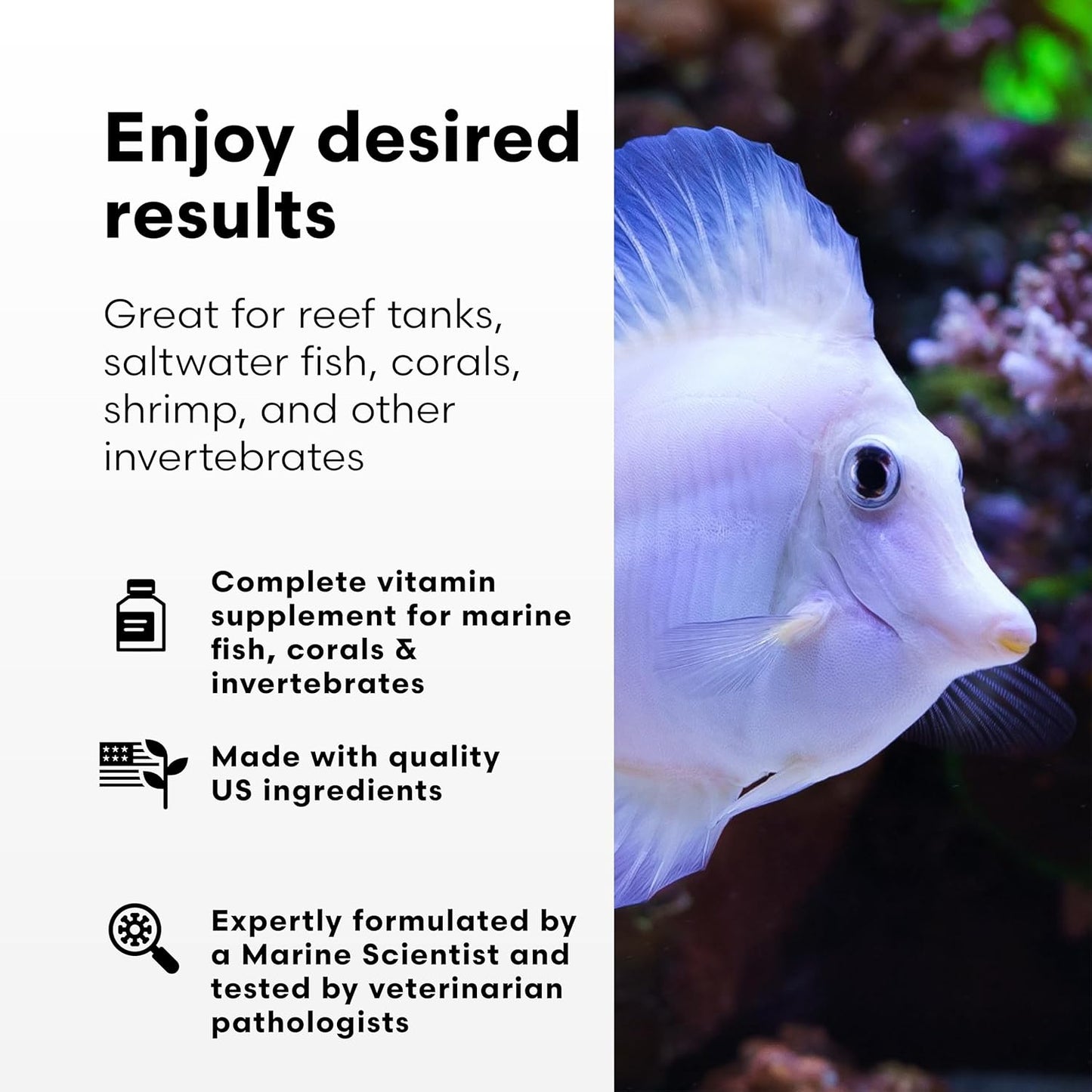 Brightwell Aquatics Vitamarin M - Liquid Multivitamin Supplement for Marine Fish Aquariums , 125-ML