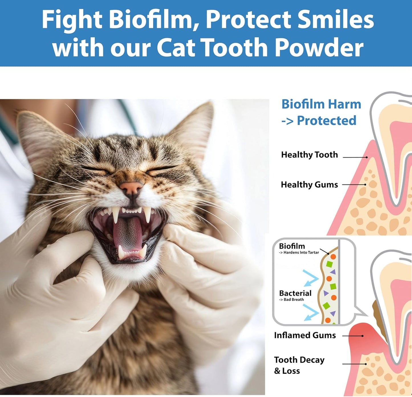 Cat Dental Care Powder Bad Breath Treatment for Cats Teeth, Mouth, Gums & Gut, Plaque Off,Tartar Control, Help Feline Gingivitis and Stomatitis, with Natural Extracts & Probiotics