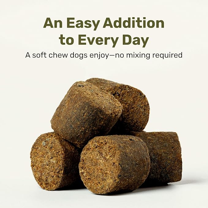 Badlands Ranch Super Daily Wellness Soft Chews for Dogs – Superfood Blend with Flaxseed, Turmeric & Lion’s Mane Mushroom – 60 Soft Chews