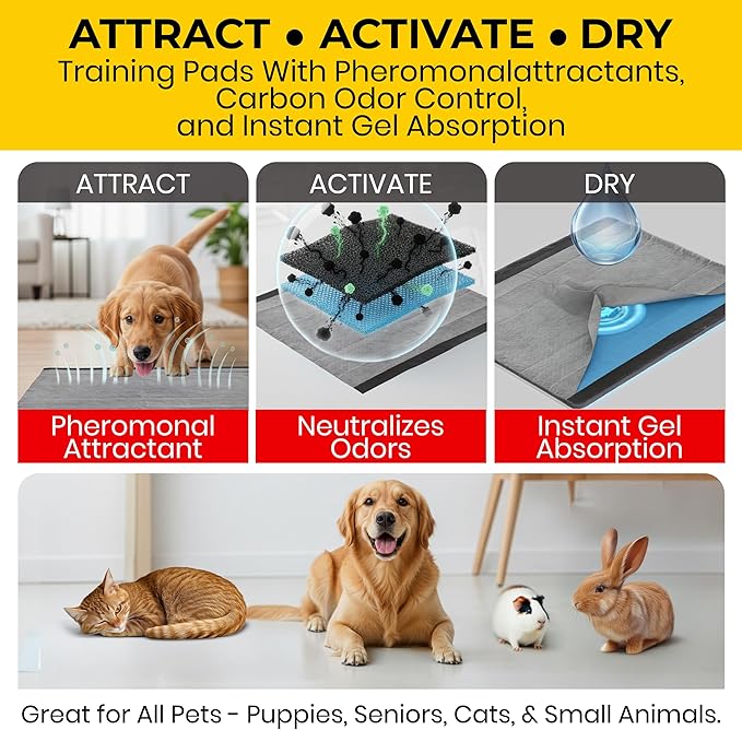 Glad for Pets JUMBOSIZE/XL Charcoal Puppy Pads, AllinOne Black Training Pads That ABSORB & Neutralize Urine Instantly New & Improved Quality, 50 Count (Pack of 1)