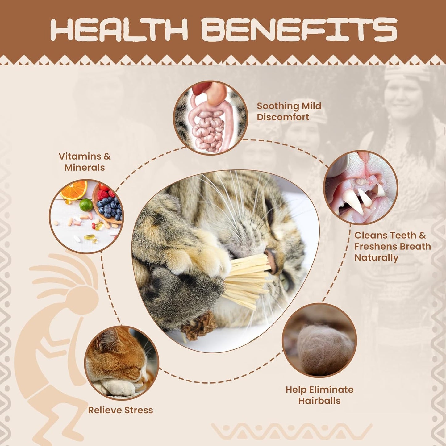 HUPA Catnip Silvervine Sticks | Anxiety Relief & Kitten Teeth Cleaning, Natural Silvervine with Raffia Grass for Healthy Teeth & Digestion | for Indoor Cats, All Ages & Breeds | 2 Sticks