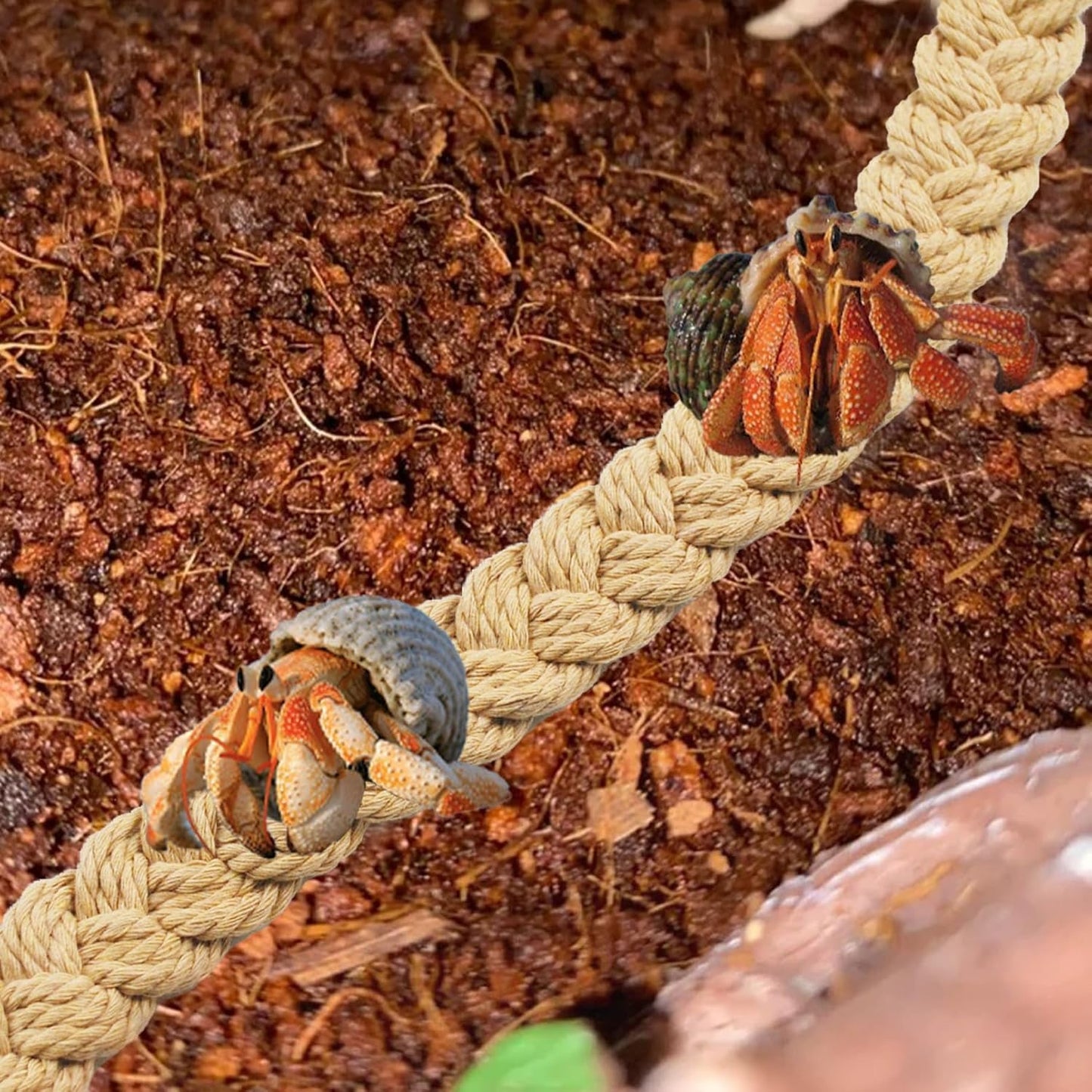 2PCS Hermit Crab Climbing Toys,Hermit Crab Rope Ladder Decor Reptile Hanging Vines Toys Hermit Crab Supplies Reptiles Habitat Tank Terrarium Accessories for Lizard Leopard Gecko Tree Frog(Flaxen)