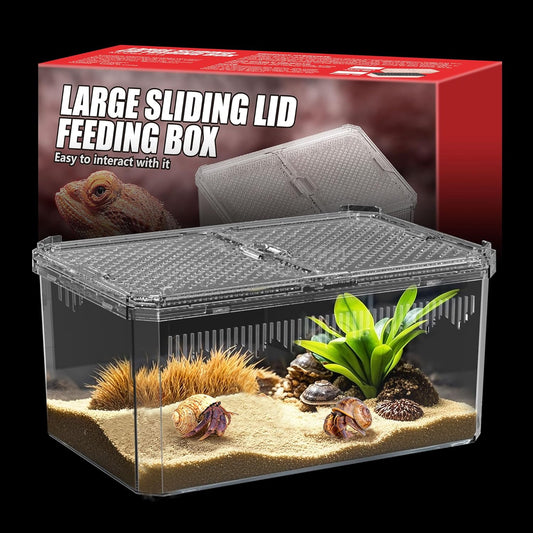 Breathable and Secure Reptile Tank with high Transparency - Ideal Container House for Hermit Crab, Tarantula Enclosure, Turtle Tank or Jumping Spider Habitat (L)