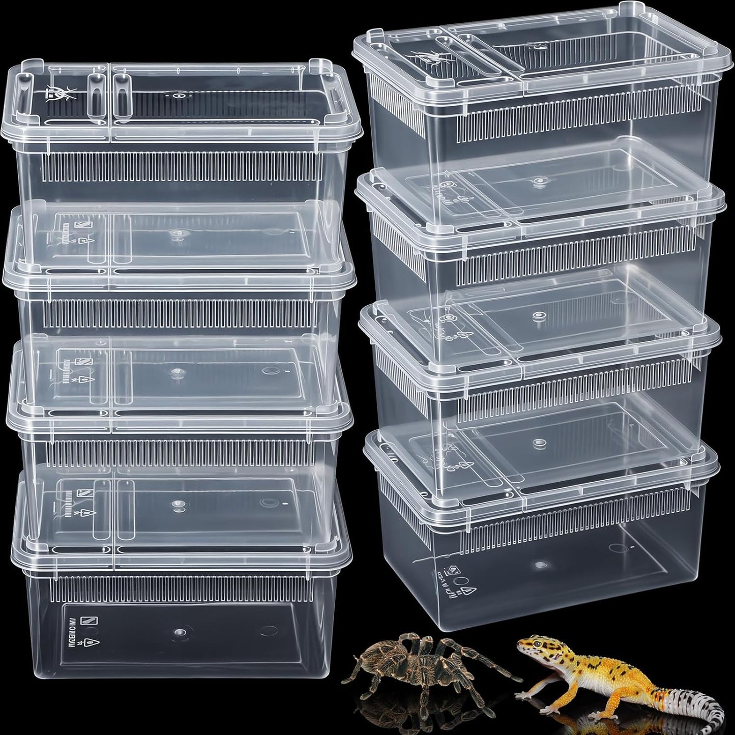 Irenare 8 Pcs Reptile Breeding Breeding Box Plastic Spider Terrarium Tarantula Feeding Box for Bearded Dragon Lizard Spider Gecko Scorpion (Vent Strips,5.9 x 3.9 x 2.5 Inch)