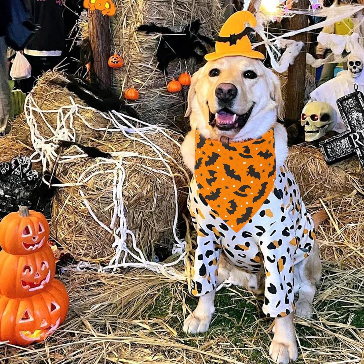2 Pack Halloween Dog Bandanas Thanksgiving Bandanas Pumpkin Design Reversible Holiday Dog Scarf, Triangle Halloween Bandana for Small Medium Large Dogs Pets
