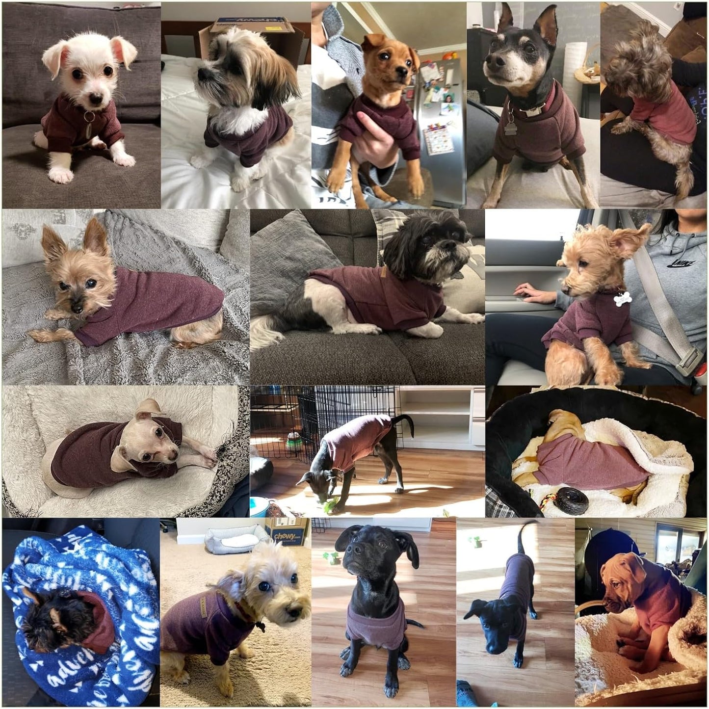 Jecikelon Dog Clothes Dogs Sweater Soft Puppies Clothing Winter Puppy Sweaters Warm Outfit for Dogs Small XXS XS Cat Apparel (Small, Brown)