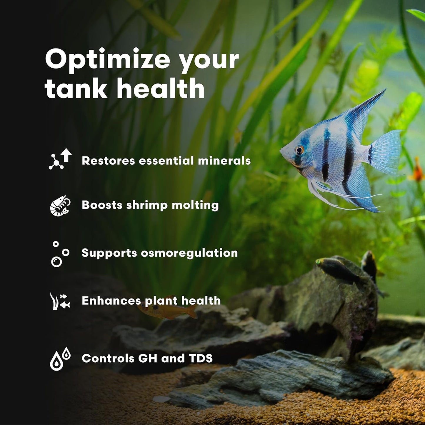 Brightwell Aquatics Caridina GH+ Mineral Supplement Restores Calcium Magnesium Potassium Sodium in Soft RO/DI Water for Shrimp Breeding and Plant Health, 125 ml