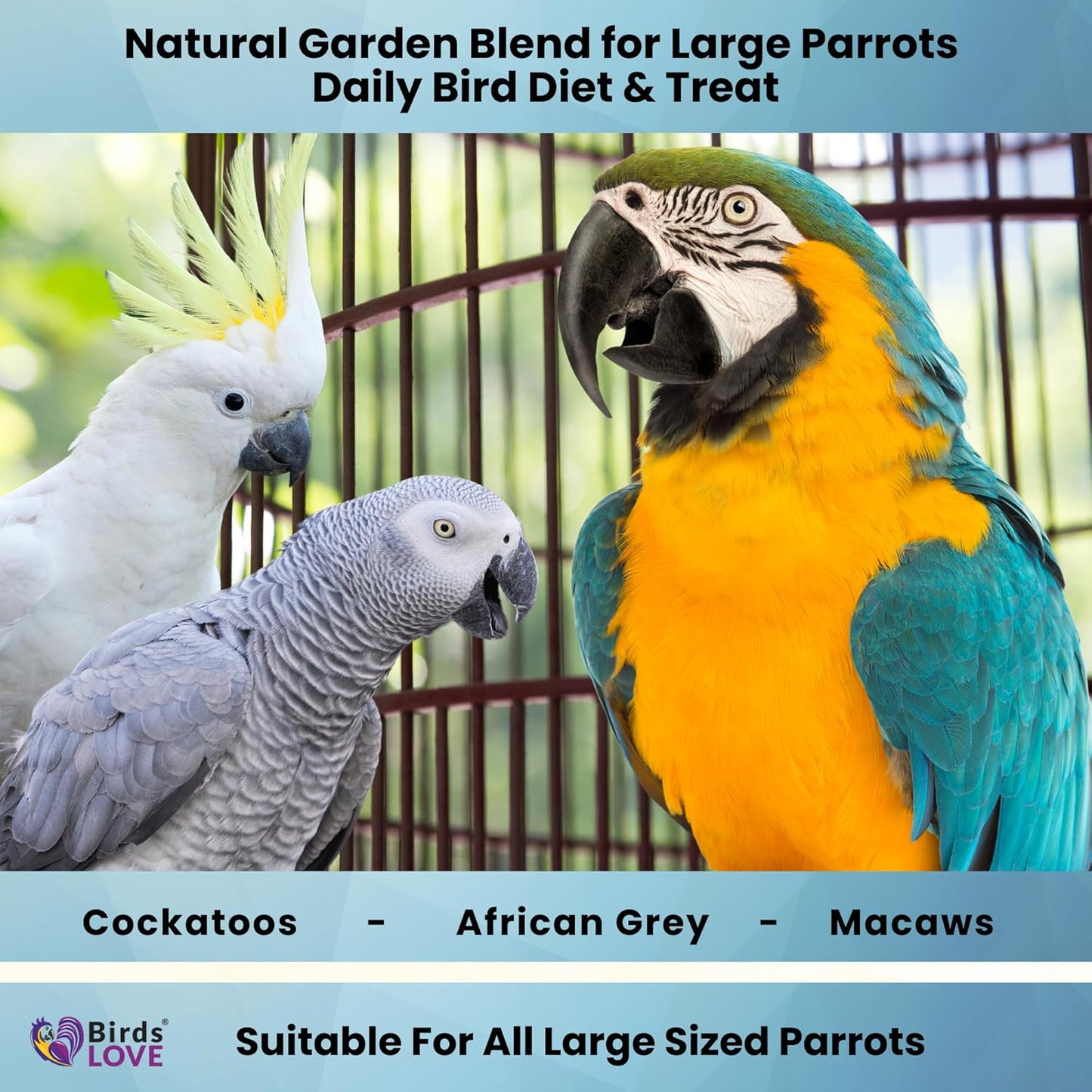 Birds LOVE All Natural Garden Blend Bird Food for Parrots 2lb