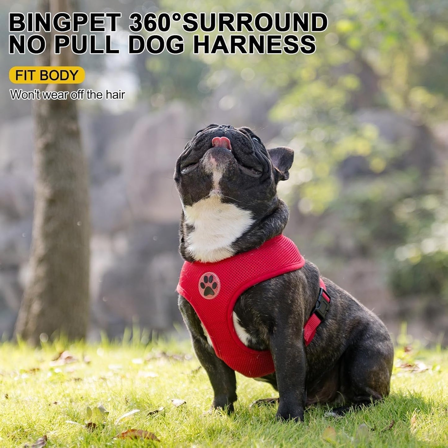 BINGPET No Pull Dog Harness for Small Medium Dogs,All Weather Mesh Step in Vest Harness for Small Dogs,Breathable Mesh Puppy Cat Harnesses,Step-in Air Dog Harness for for Small Dogs,Red,Small