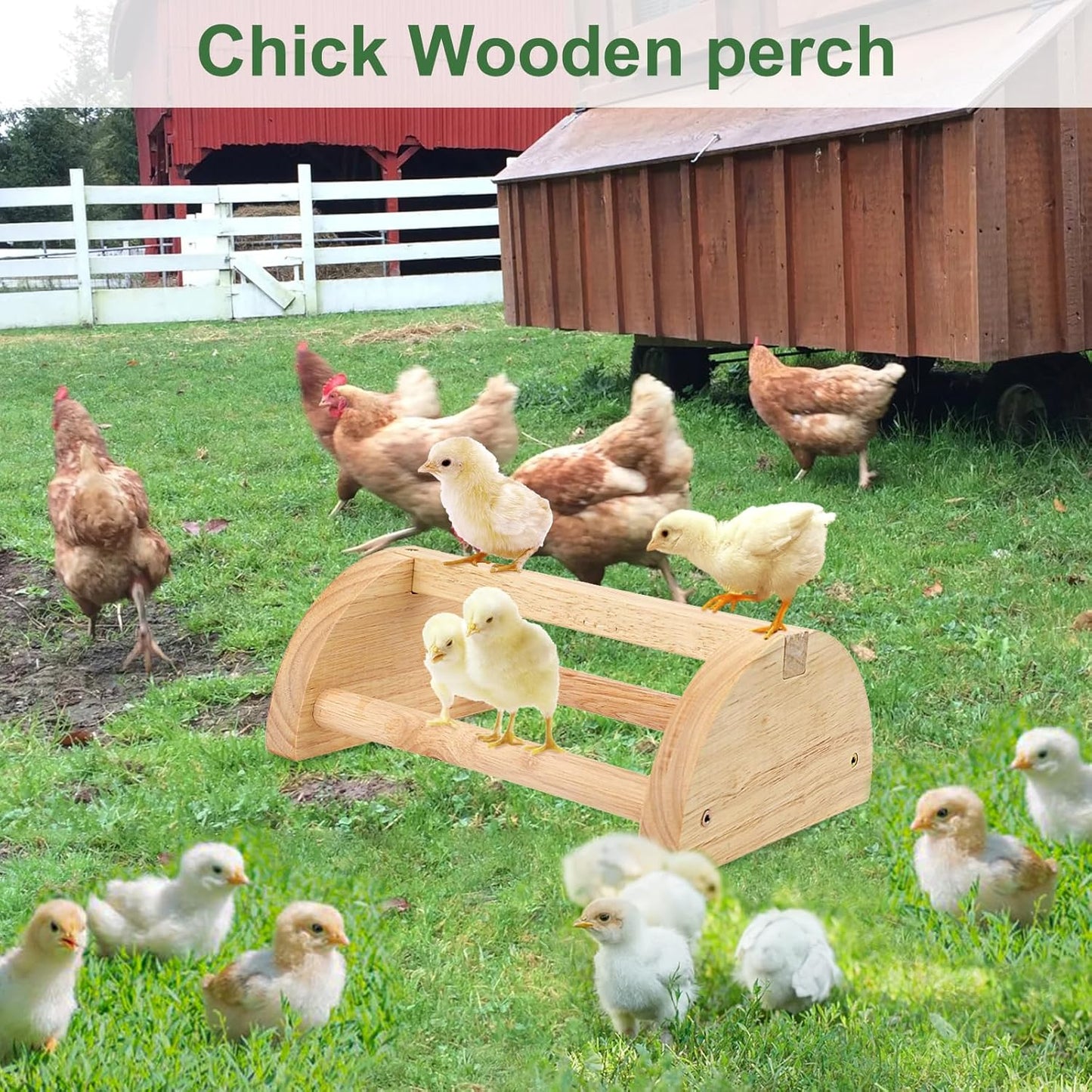 Chicken Perch Chicken Roosting Bar, Chick Perch Toys for Coop and Brooder for Baby Chicks,Strong Wooden Bird Perch,Training Perch Toys for Large Bird, Parrot, Macaw, Hens (Small)