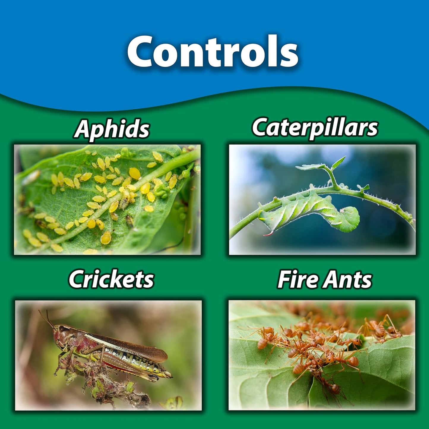 Monterey Bug Buster-O 16oz