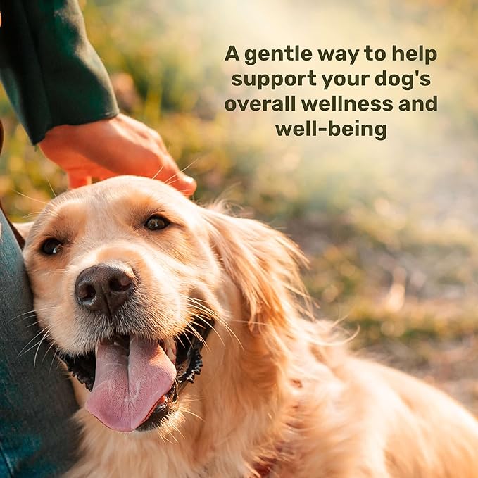 Badlands Ranch Super Daily Wellness Soft Chews for Dogs – Superfood Blend with Flaxseed, Turmeric & Lion’s Mane Mushroom – 60 Soft Chews