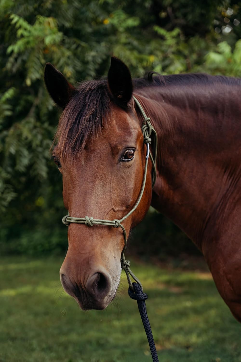 22' Long Line with SS O Ring and Carabiner (Pink)