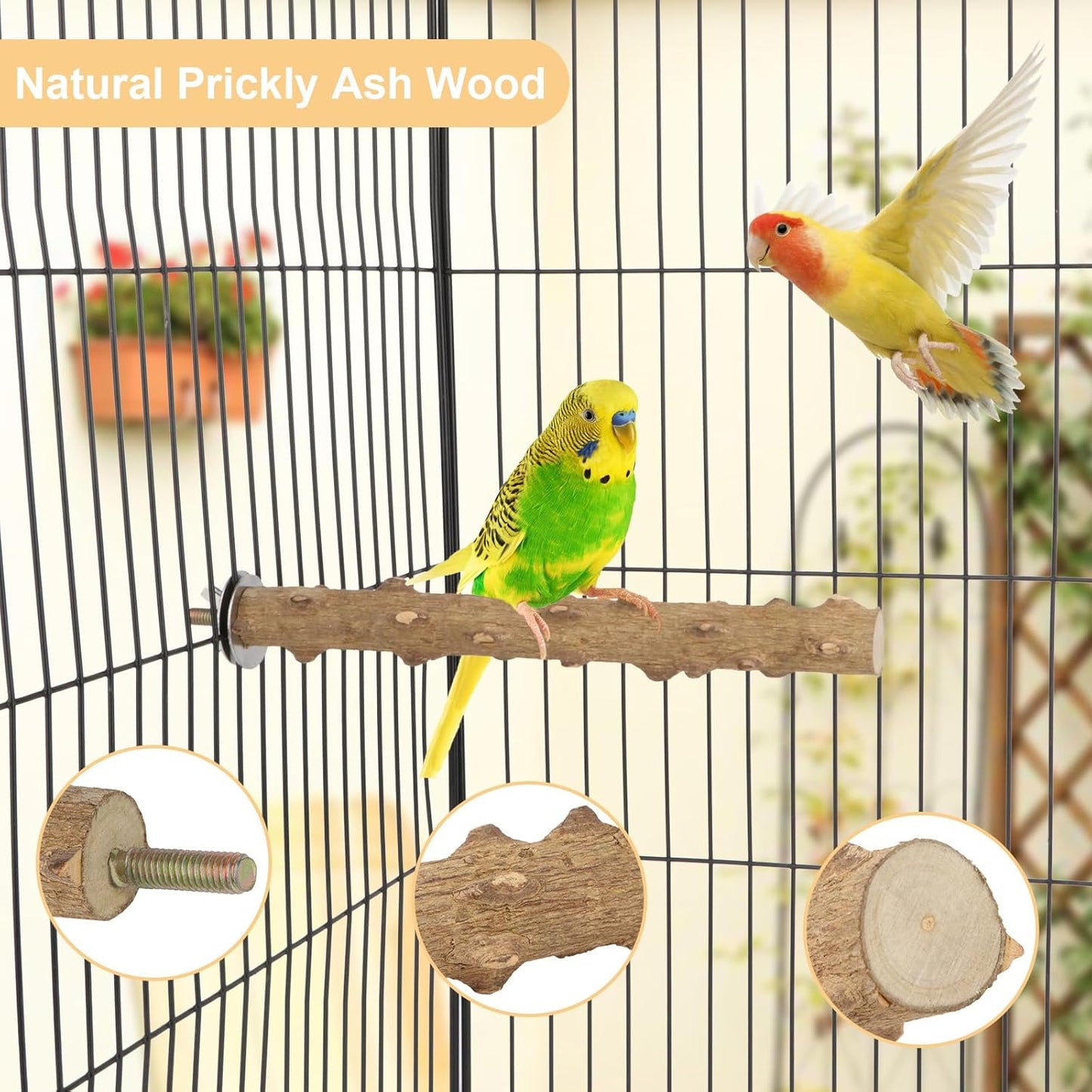Hypeety Natural Wood Perch Stand Toy for Budgie, Parakeet, Cockatiel, Conure, Lovebird (7.86 inch)