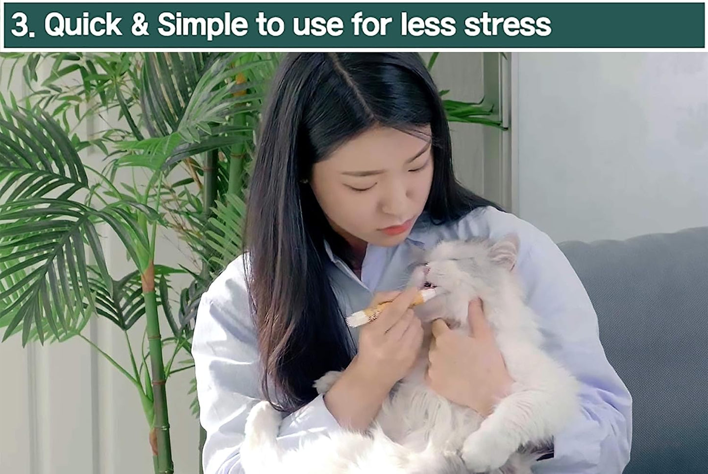 Cat Toothbrush & Toothpaste Kit – Flavor-Free Dental Gel for Cats – Finger Brush & Handle for Daily Oral Care – Plaque & Tartar Cleaning for Kittens and Adult Cats (2 Pack, 2 Count)