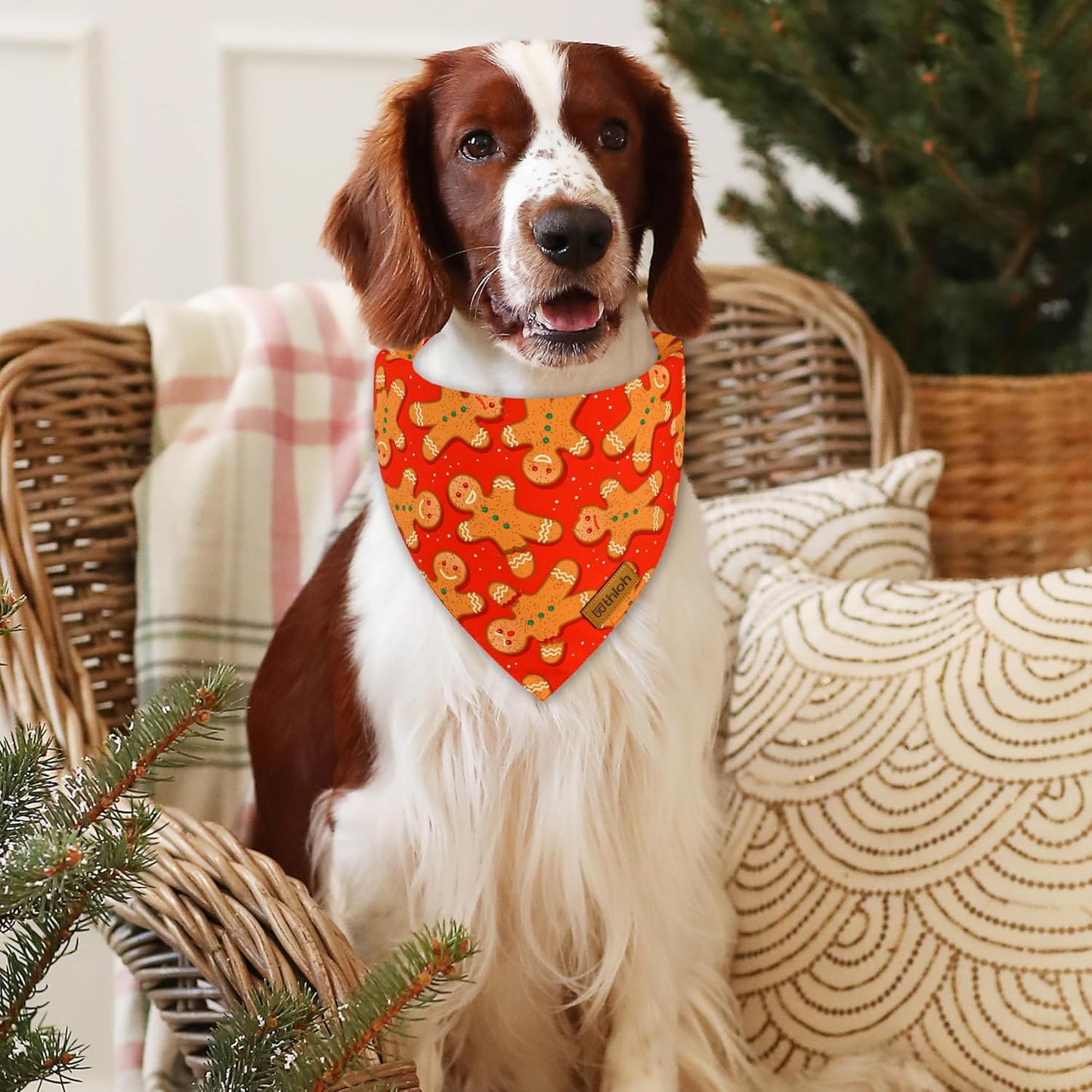 Christmas Dog Bandanas - 2 Pack Reversible Gingerbread Man Dog Scarf for Boy & Girl, Premium Durable Fabric, Festival Dog Bib, Holiday Bandana for Small and Medium Dogs (Small)