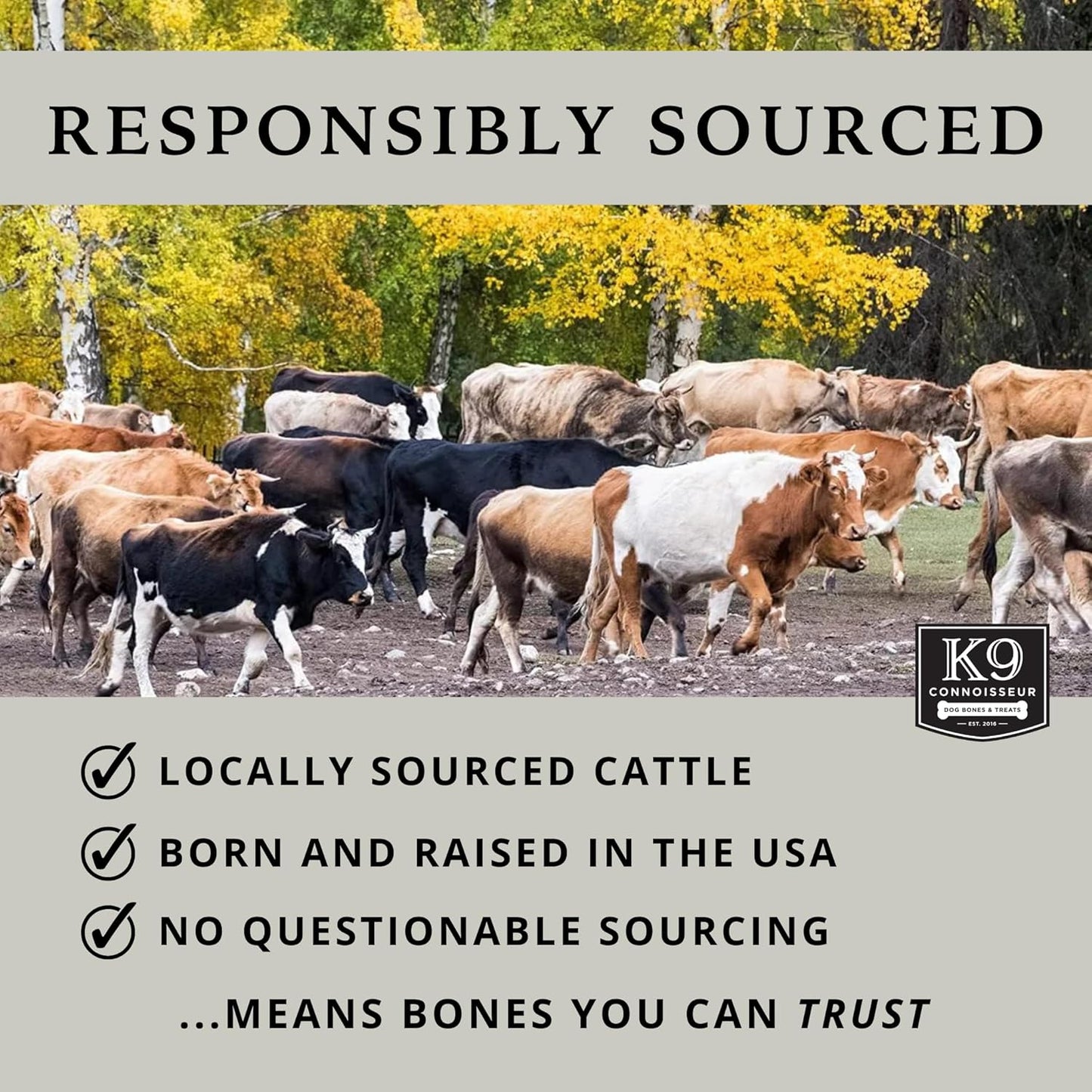 K9 Connoisseur Dog Bones Made in USA for Large Breed Aggressive Chewers All Natural Long Lasting Meaty Mammoth Marrow Filled Bone Chew Treat Best for Dogs Over 50 Pounds (4 Pack)