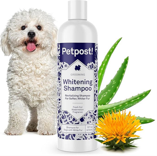 Petpost | Dog Whitening Shampoo with Coconut Oil & Aloe. Brightens White & Light Coats, Moisturizes Skin. Watermelon Scent. 16 oz