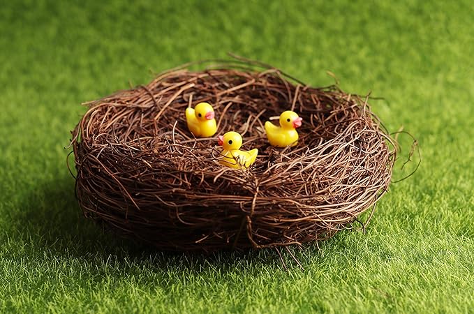 Exasinine 10 Pcs 5.5'' Artificial Bird Nest for Crafts, Easter, Party, Wedding, Patio Garden, Succulent Planter, Moss Landscape, DIY Terrarium and Spring Vignettes (5.5 Inches)