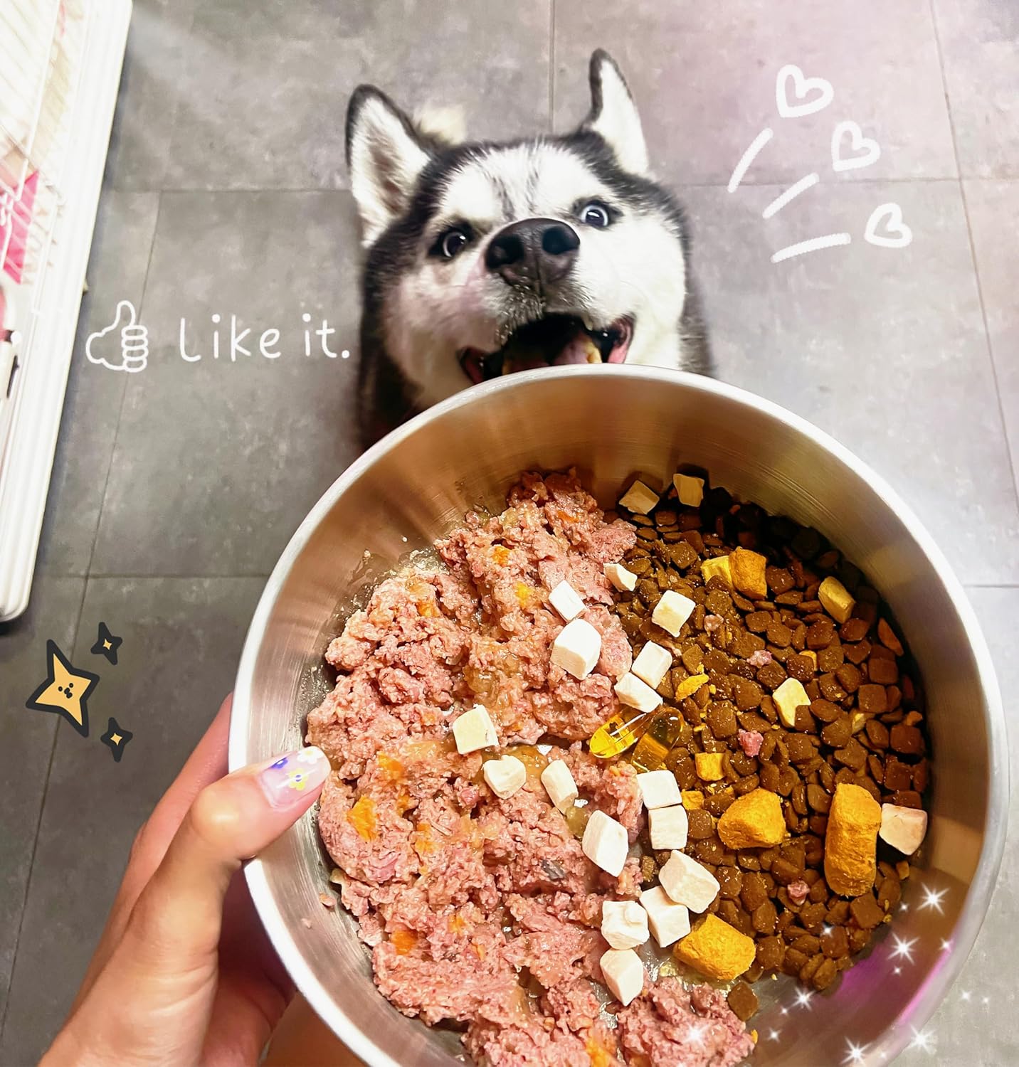 IKITCHEN Dog Bowl for Food and Water, 40 Oz Stainless Steel Pet Feeding Bowl, Durable Non-Skid Insulated Heavy Duty with Rubber Bottom for Medium Large Sized Dogs (40 Ounces/5 Cup, Grey)