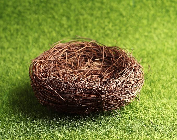 Exasinine 10 Pcs 5.5'' Artificial Bird Nest for Crafts, Easter, Party, Wedding, Patio Garden, Succulent Planter, Moss Landscape, DIY Terrarium and Spring Vignettes (5.5 Inches)
