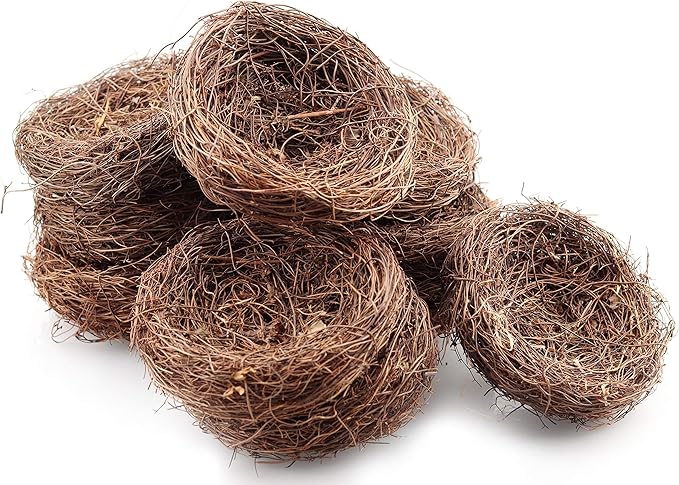Exasinine 10 Pcs 5.5'' Artificial Bird Nest for Crafts, Easter, Party, Wedding, Patio Garden, Succulent Planter, Moss Landscape, DIY Terrarium and Spring Vignettes (5.5 Inches)